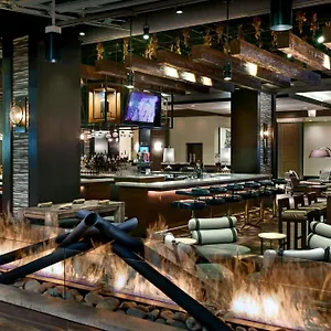 Hotel Renaissance Downtown